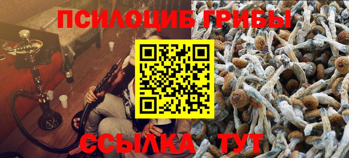 Бийск  Псилоцибиновые грибы Magic Shrooms  Вход с VPN 