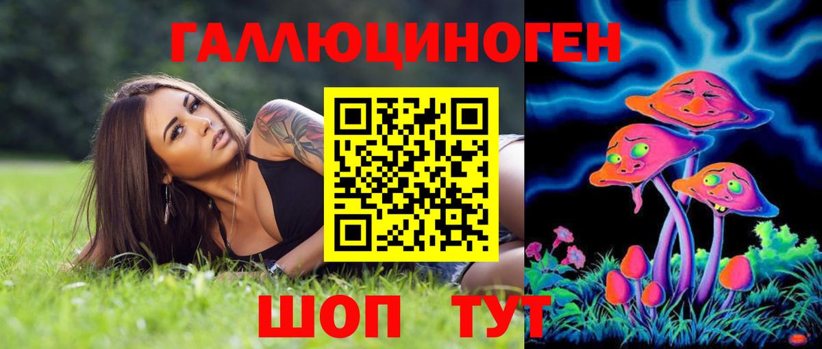 Галлюциногенные грибы Cubensis Бийск